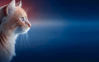 Loss Aversion in Action: Why “Don’t Miss Out” Works Better Than “Act Now”